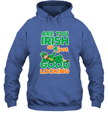 Are You Irish Or Just Good Looking Funny St Patricks Day Hooded Sweatshirt Hooded Sweatshirt - HHHstores