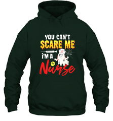 You Can't Scare Me I'm A Nurse Funny Halloween Witch Hat Hooded Sweatshirt Hooded Sweatshirt - HHHstores