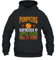 Pumpkins Hayrides Apple Cider Fall Love Halloween Gift Hooded Sweatshirt Hooded Sweatshirt - HHHstores