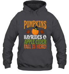 Pumpkins Hayrides Apple Cider Fall Love Halloween Gift Hooded Sweatshirt Hooded Sweatshirt - HHHstores