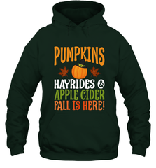 Pumpkins Hayrides Apple Cider Fall Love Halloween Gift Hooded Sweatshirt Hooded Sweatshirt - HHHstores