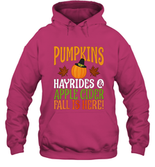 Pumpkins Hayrides Apple Cider Fall Love Halloween Gift Hooded Sweatshirt Hooded Sweatshirt - HHHstores