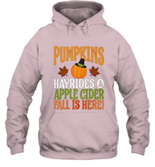 Pumpkins Hayrides Apple Cider Fall Love Halloween Gift Hooded Sweatshirt Hooded Sweatshirt - HHHstores