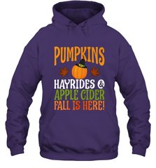 Pumpkins Hayrides Apple Cider Fall Love Halloween Gift Hooded Sweatshirt Hooded Sweatshirt - HHHstores