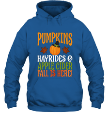Pumpkins Hayrides Apple Cider Fall Love Halloween Gift Hooded Sweatshirt Hooded Sweatshirt - HHHstores