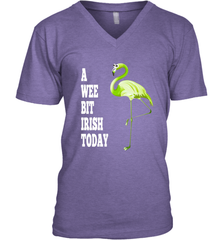 A Wee Bit Irish Today Flamingo St. Patrick's Day Men's V-Neck Men's V-Neck - HHHstores